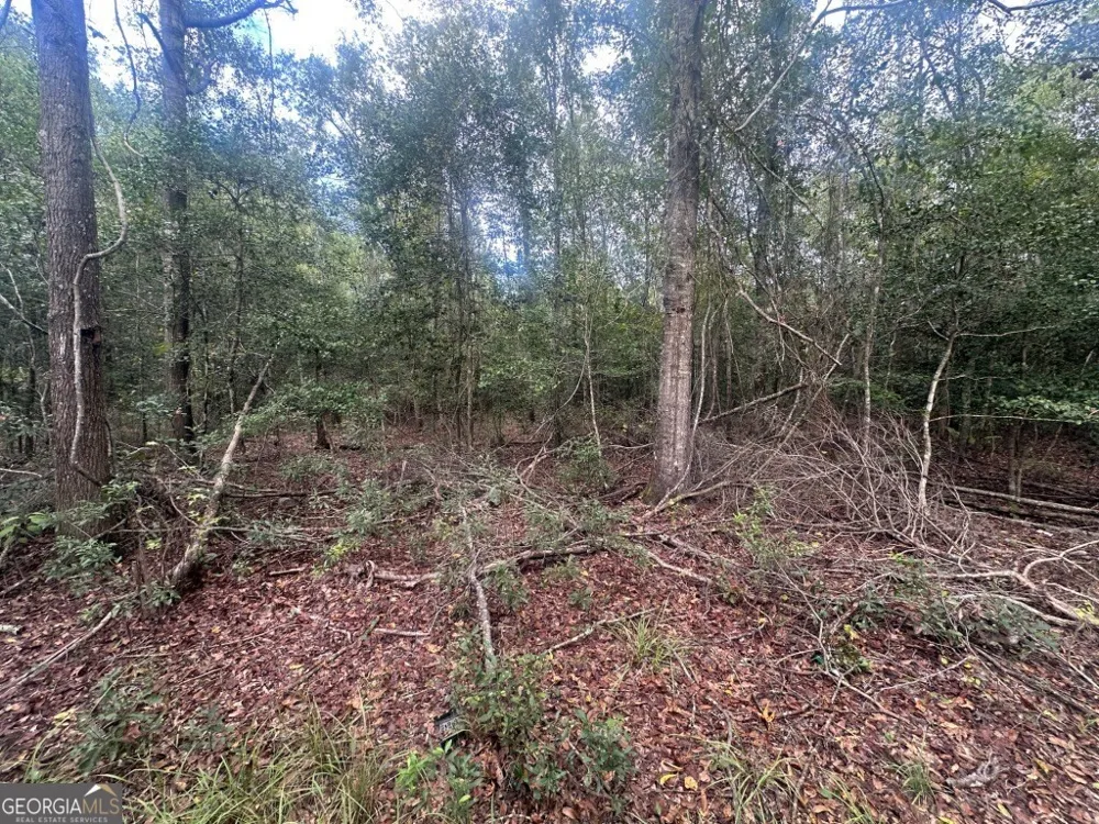 0 Lowground RD Guyton, GA 31312