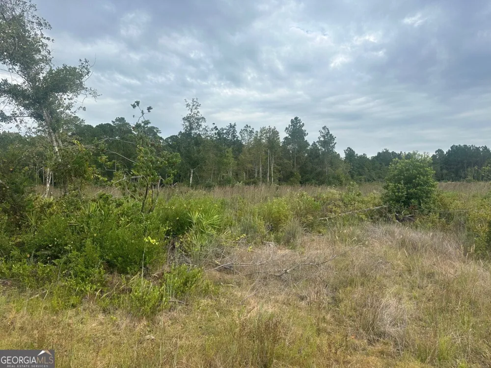 0 Lowground RD Guyton, GA 31312