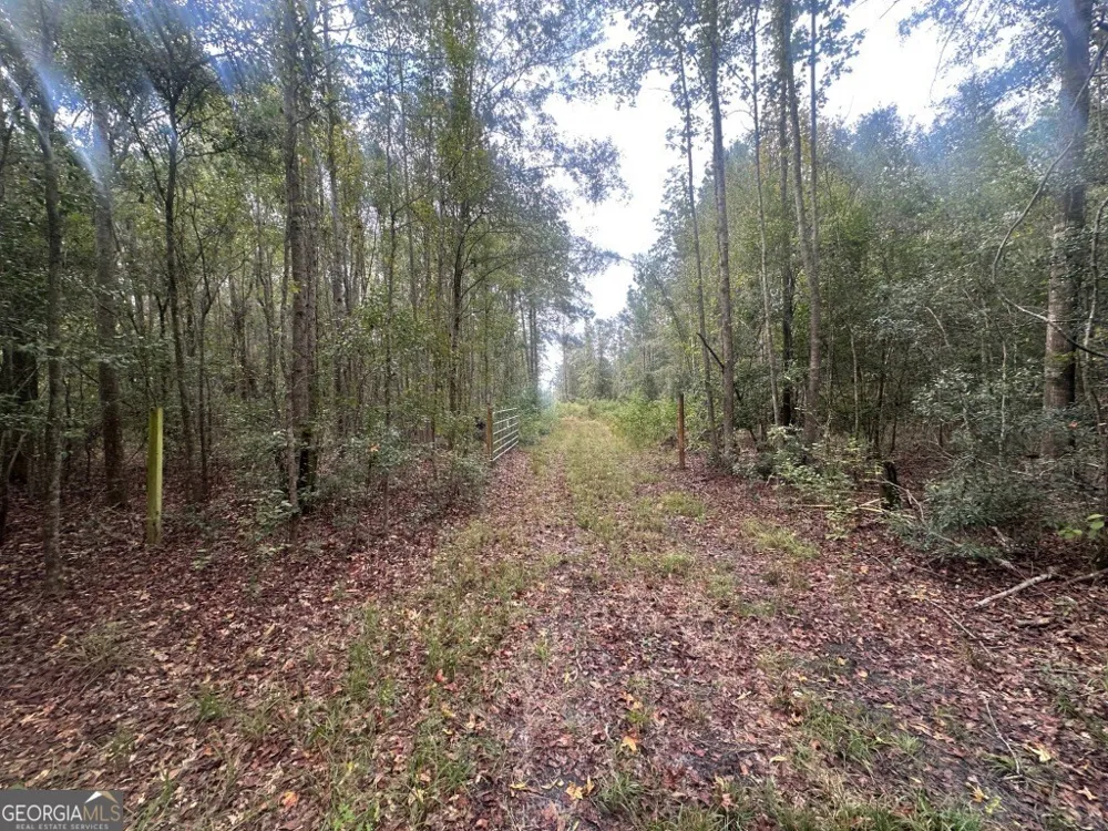 0 Lowground RD Guyton, GA 31312