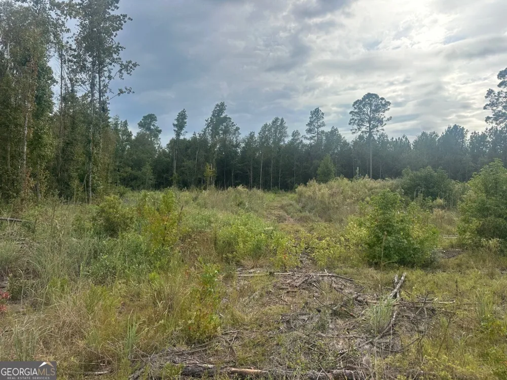 0 Lowground RD Guyton, GA 31312