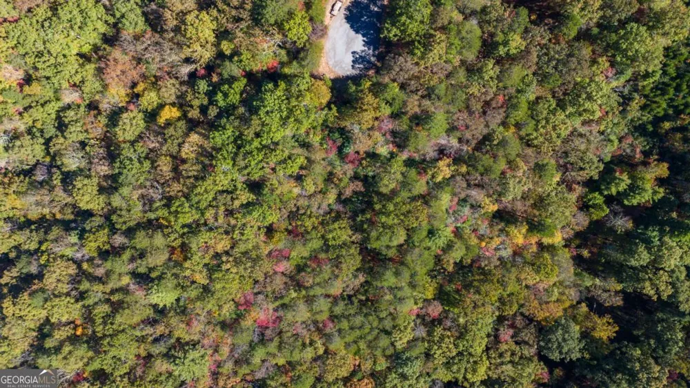 1047 Nugget CT Dahlonega, GA 30533