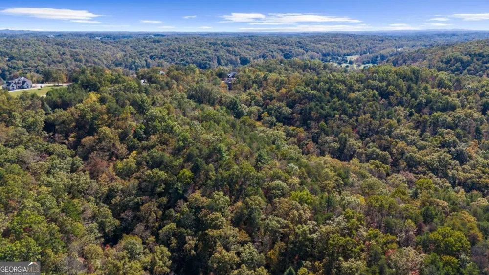 1047 Nugget CT Dahlonega, GA 30533