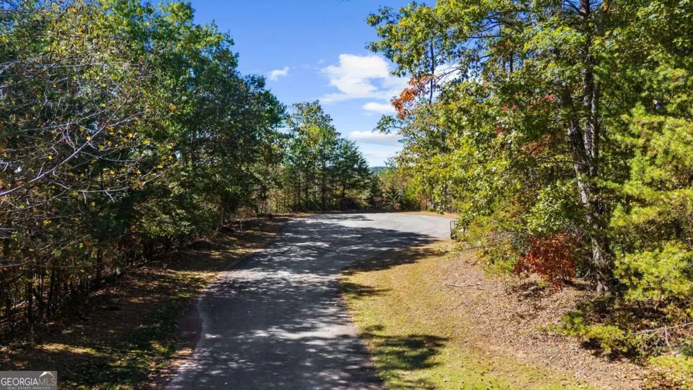 1047 Nugget CT Dahlonega, GA 30533