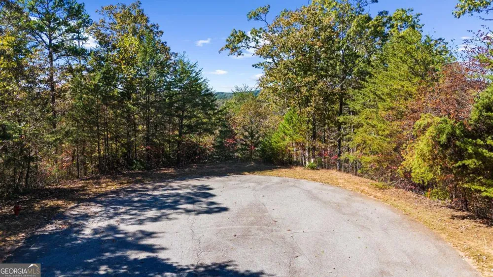 1047 Nugget CT Dahlonega, GA 30533