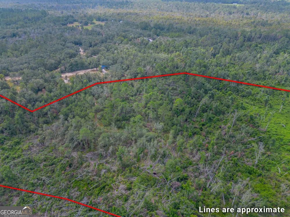0 Honeysuckle LN Pearson, GA 31642