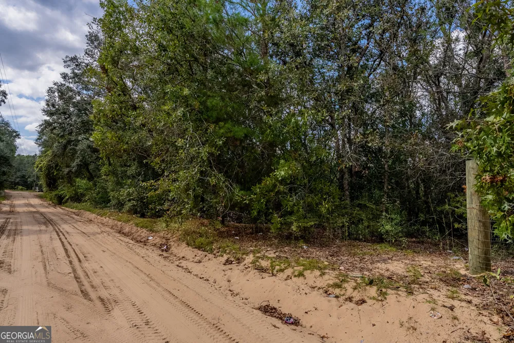 0 Honeysuckle LN Pearson, GA 31642