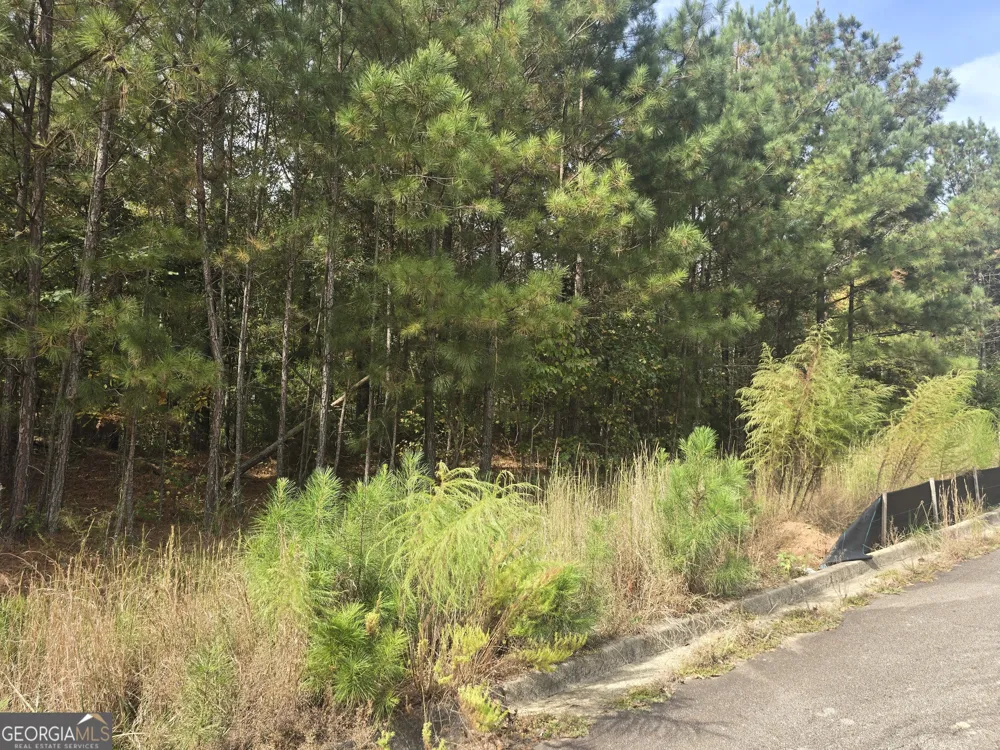 188 Belford WAY Jackson, GA 30233