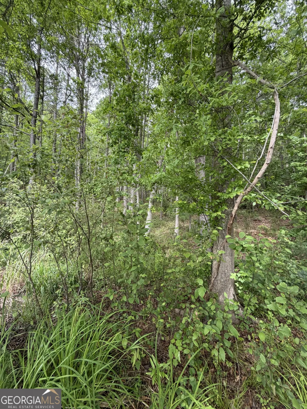 188 Belford WAY Jackson, GA 30233