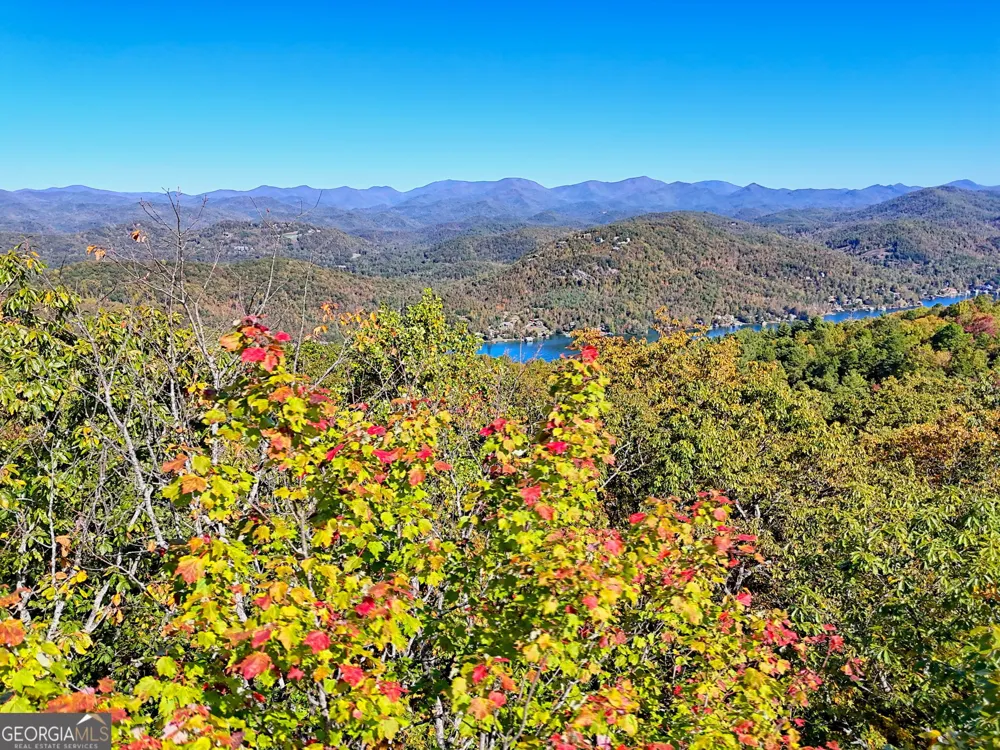 0 Charmont DR Tiger, GA 30576