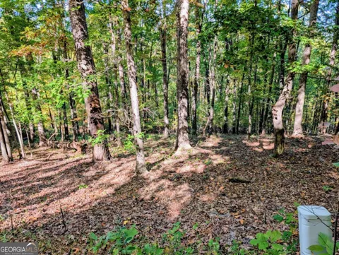 LOT 30 Rocky Knob DR
