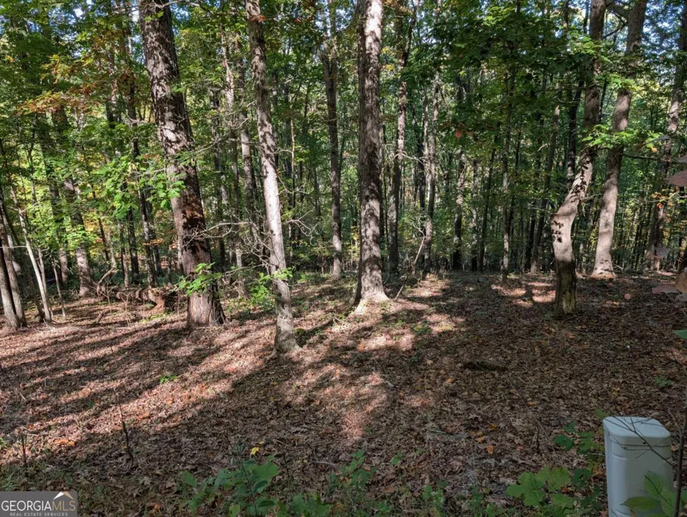 LOT 30 Rocky Knob DR Young Harris, GA 30582