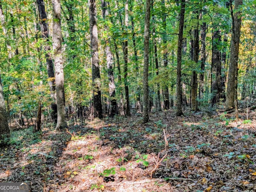 LOT 30 Rocky Knob DR Young Harris, GA 30582