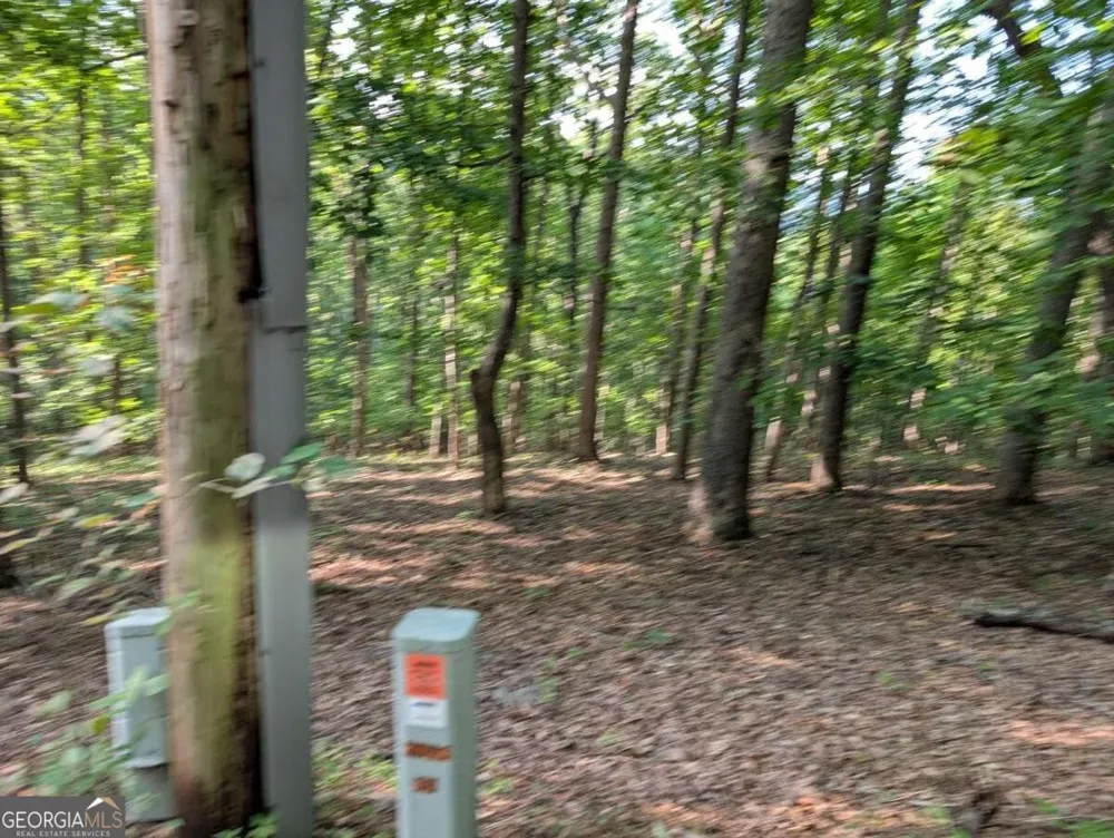 LOT 30 Rocky Knob DR Young Harris, GA 30582