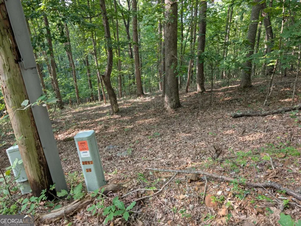 LOT 30 Rocky Knob DR Young Harris, GA 30582