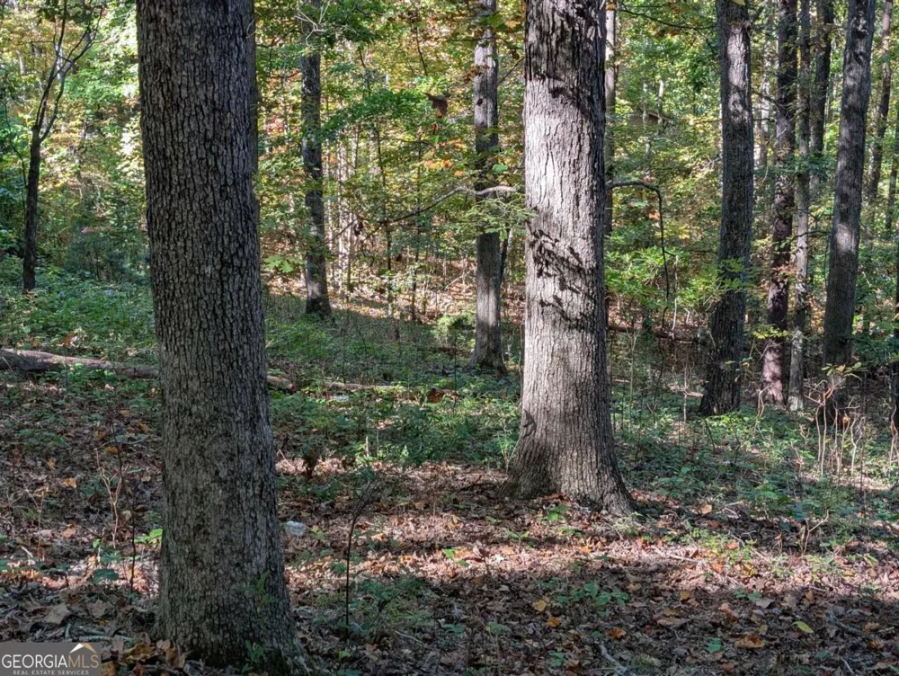 LOT 30 Rocky Knob DR Young Harris, GA 30582