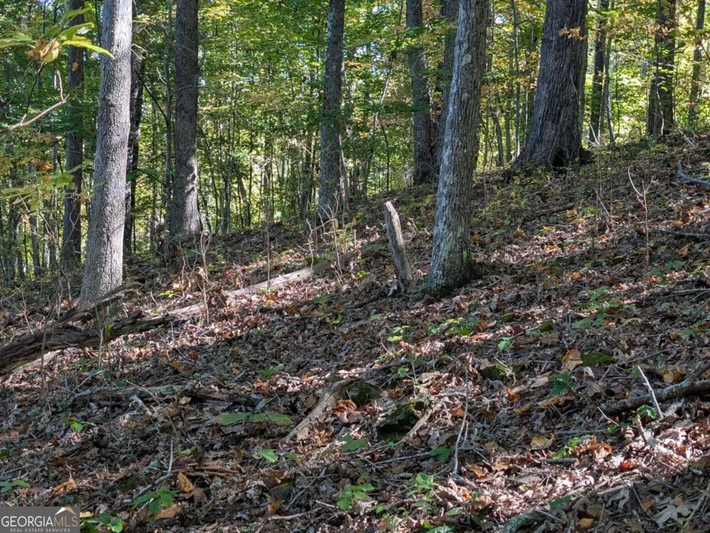 LOT 30 Rocky Knob DR Young Harris, GA 30582