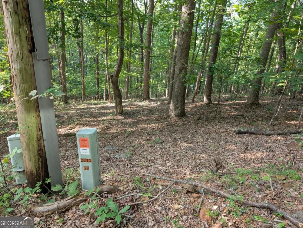 LOT 30 Rocky Knob DR Young Harris, GA 30582