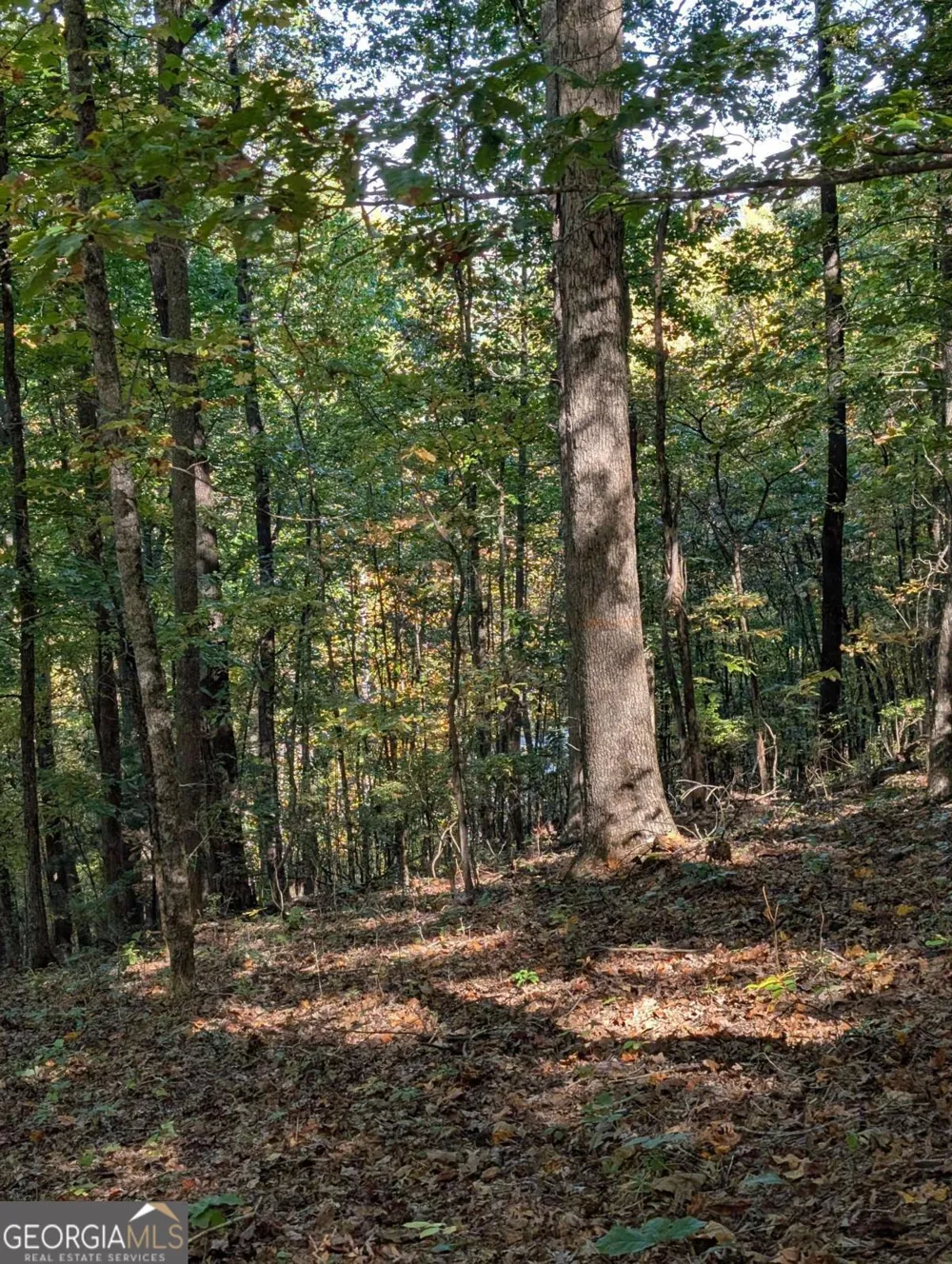 LOT 30 Rocky Knob DR Young Harris, GA 30582