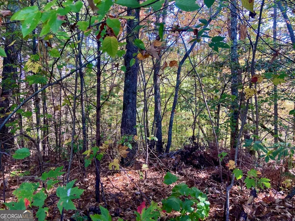 0 Uplander CT Rabun Gap, GA 30568