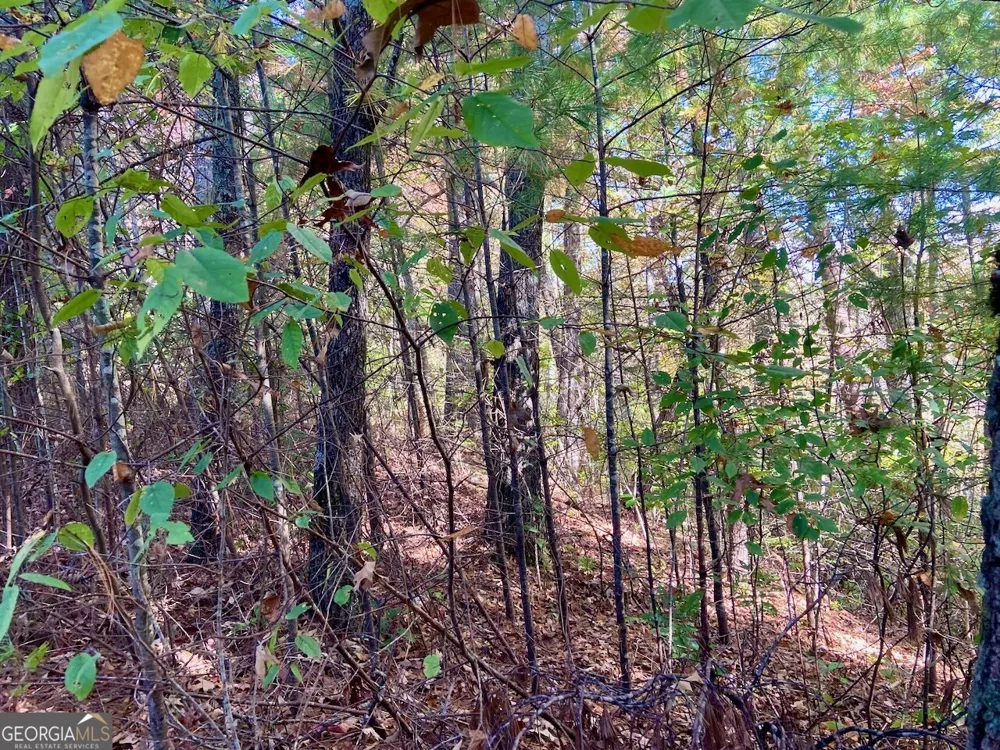 0 Uplander CT Rabun Gap, GA 30568