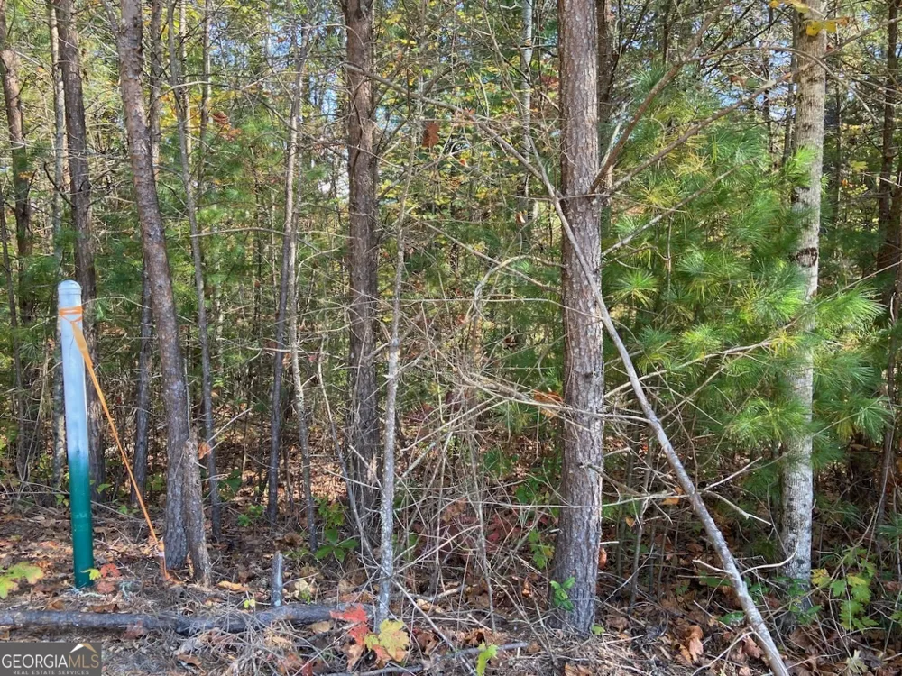 0 Uplander CT Rabun Gap, GA 30568