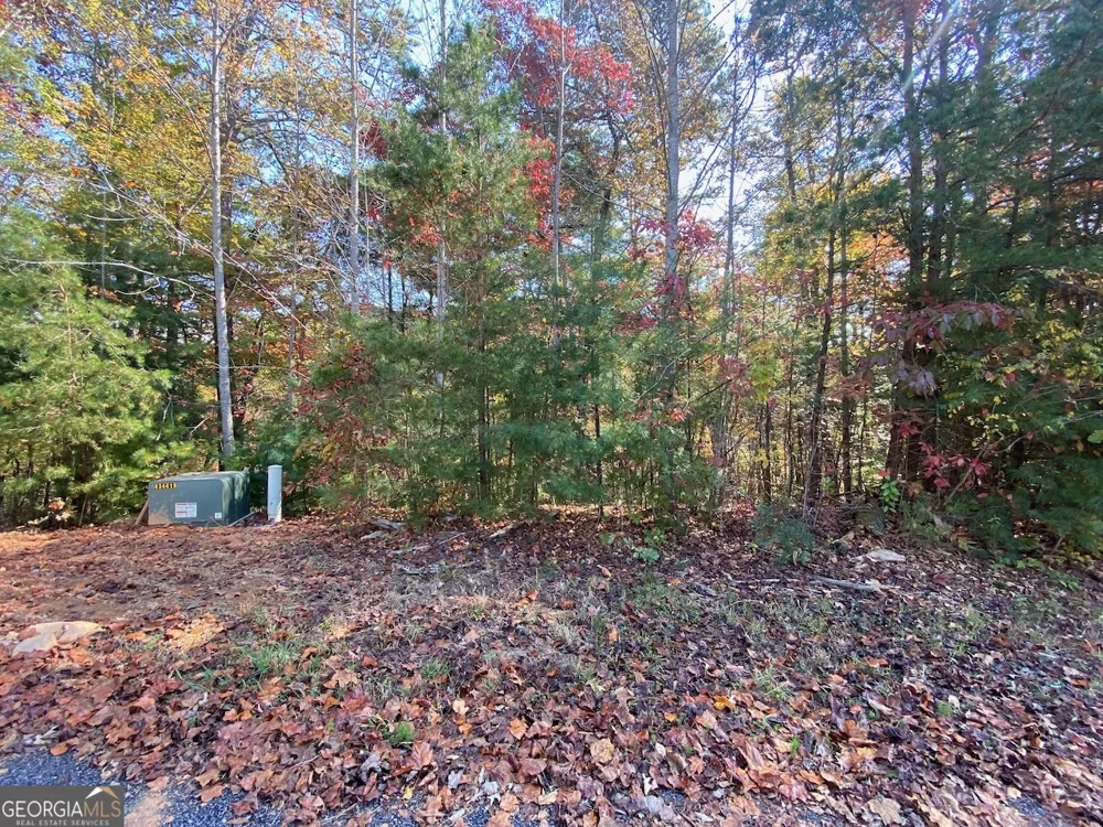 0 Uplander CT Rabun Gap, GA 30568