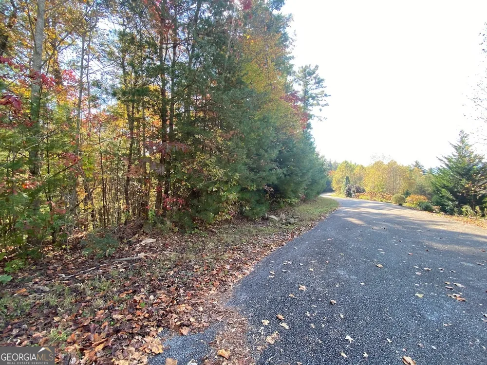 0 Uplander CT Rabun Gap, GA 30568