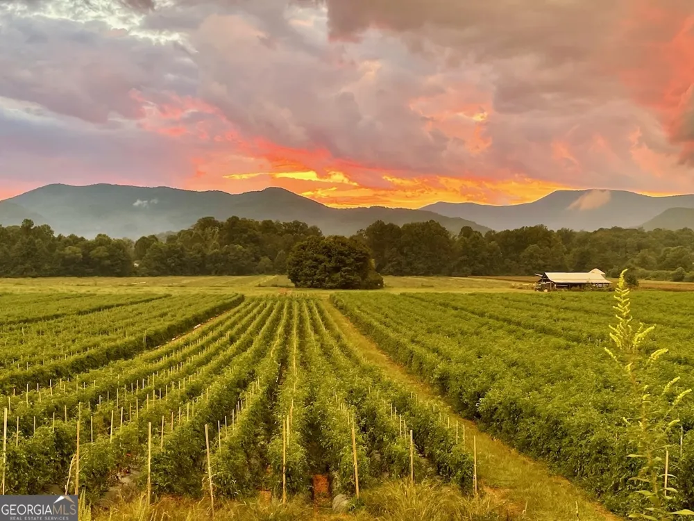 0 Uplander CT Rabun Gap, GA 30568