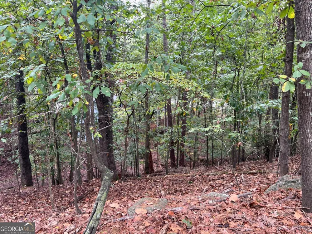 0 SPYGLASS BLUFF DR Johns Creek, GA 30022