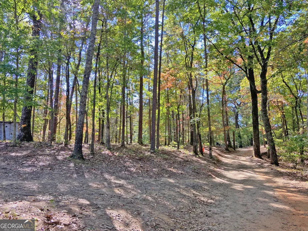 962 Winters Mountain RD Dahlonega, GA 30533