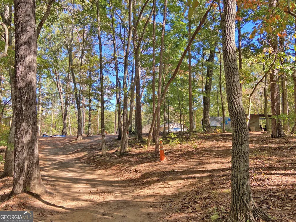 962 Winters Mountain RD Dahlonega, GA 30533
