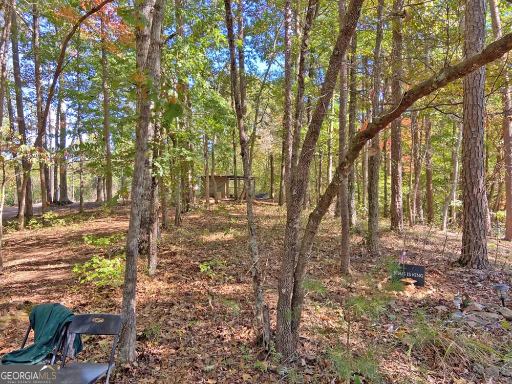 962 Winters Mountain RD Dahlonega, GA 30533