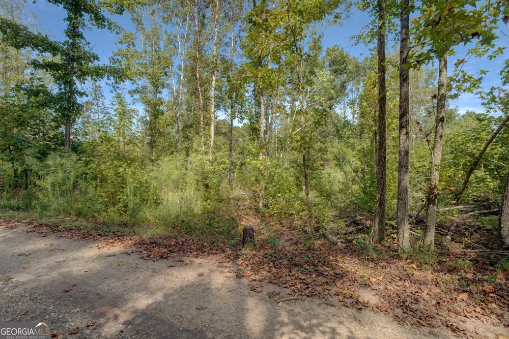 0 Rocky Creek RD Mansfield, GA 30055