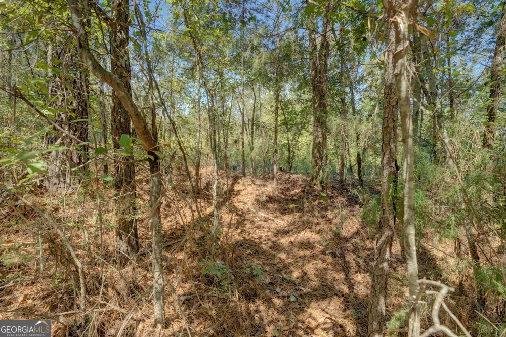 0 Rocky Creek RD Mansfield, GA 30055