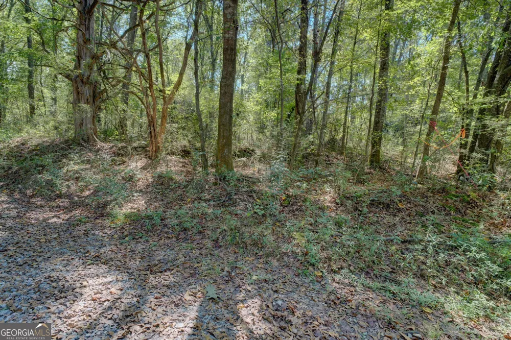 0 Rocky Creek RD Mansfield, GA 30055