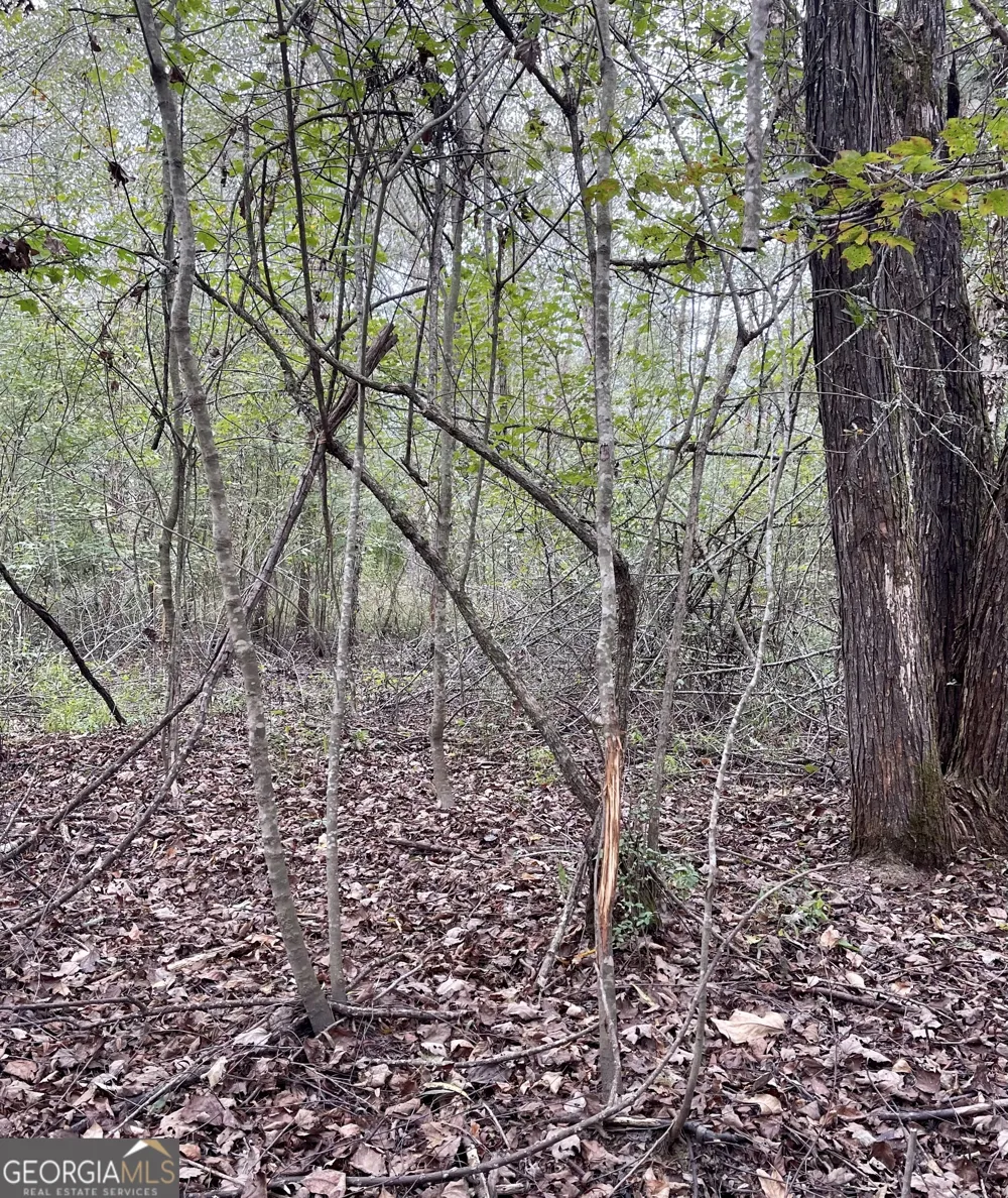 0 Buffalo Creek RD Carrollton, GA 30117