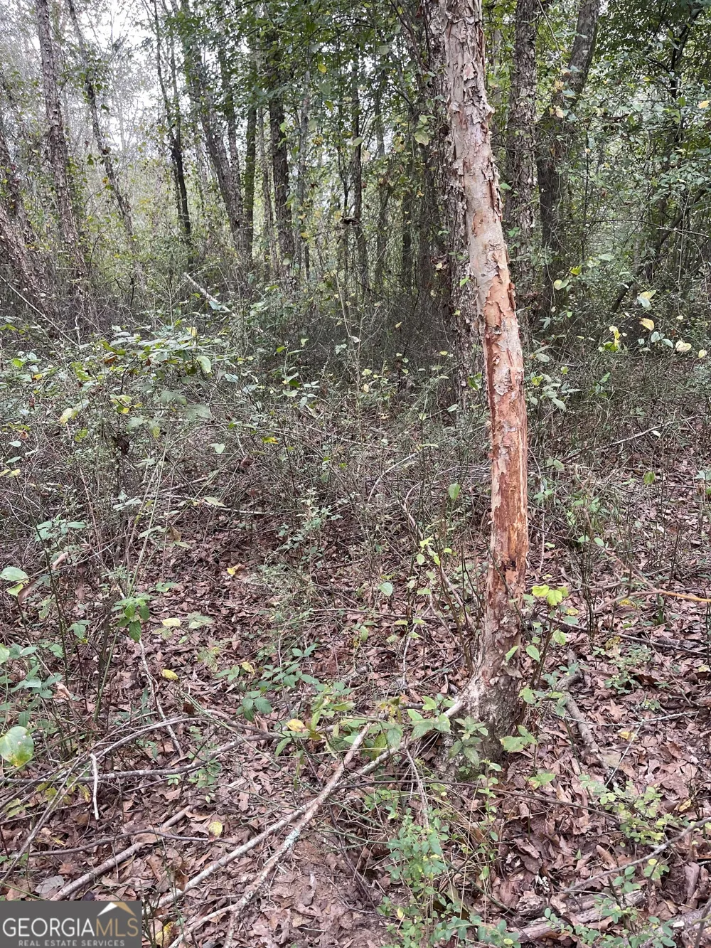 0 Buffalo Creek RD Carrollton, GA 30117