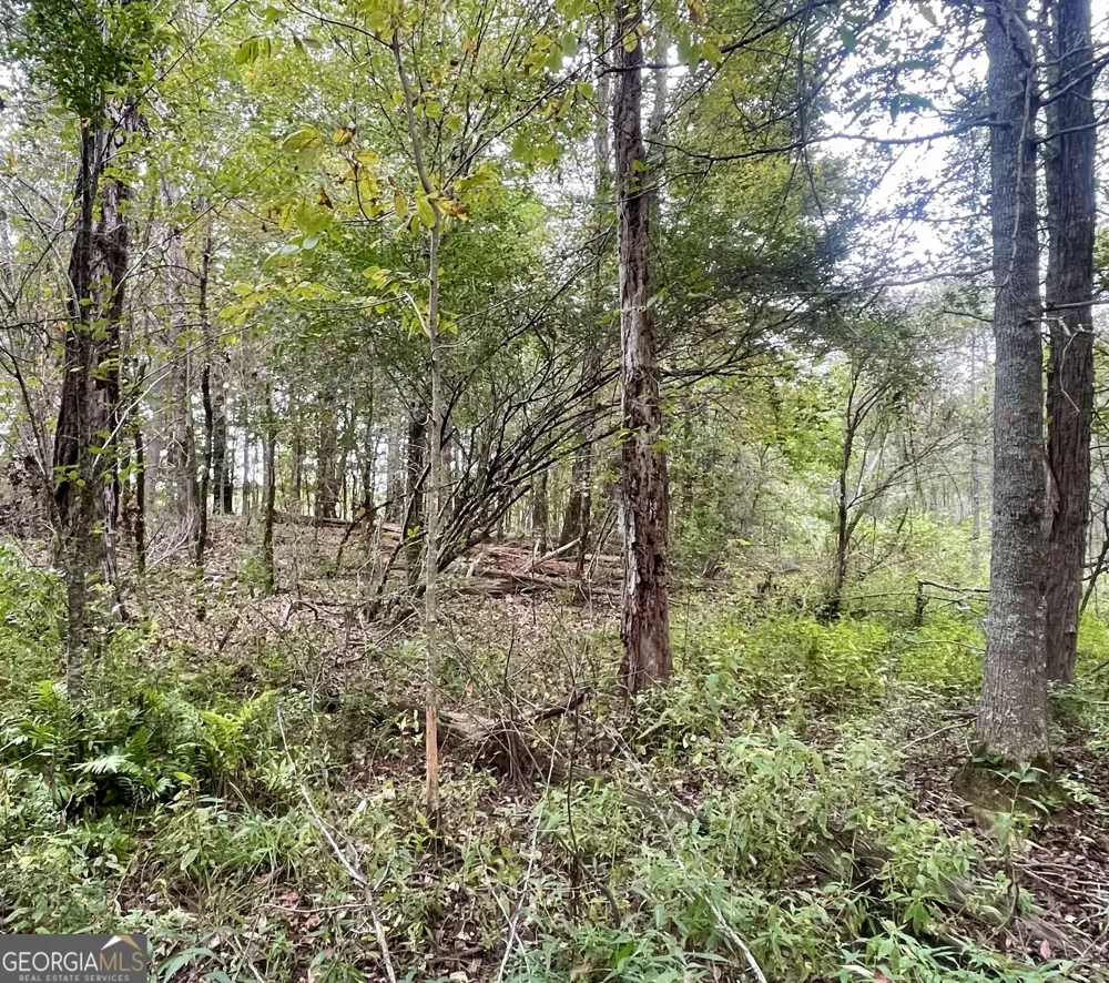 0 Buffalo Creek RD Carrollton, GA 30117