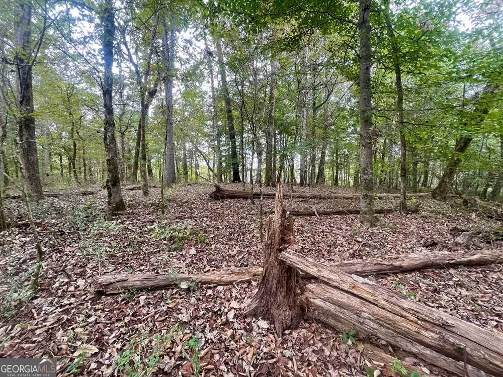 0 Buffalo Creek RD Carrollton, GA 30117