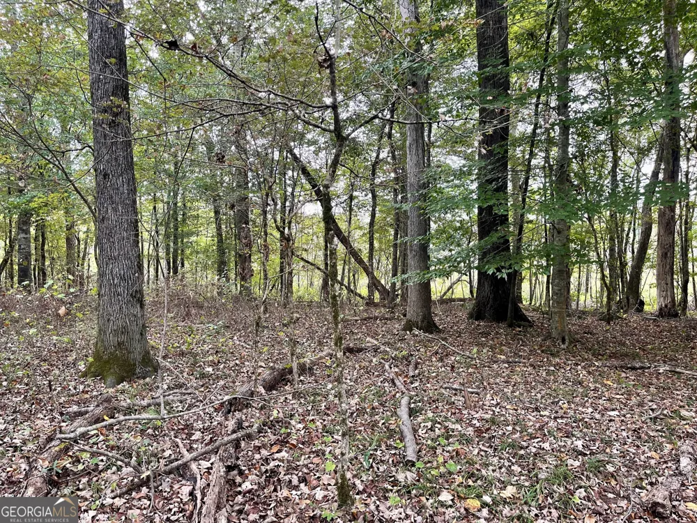 0 Buffalo Creek RD Carrollton, GA 30117
