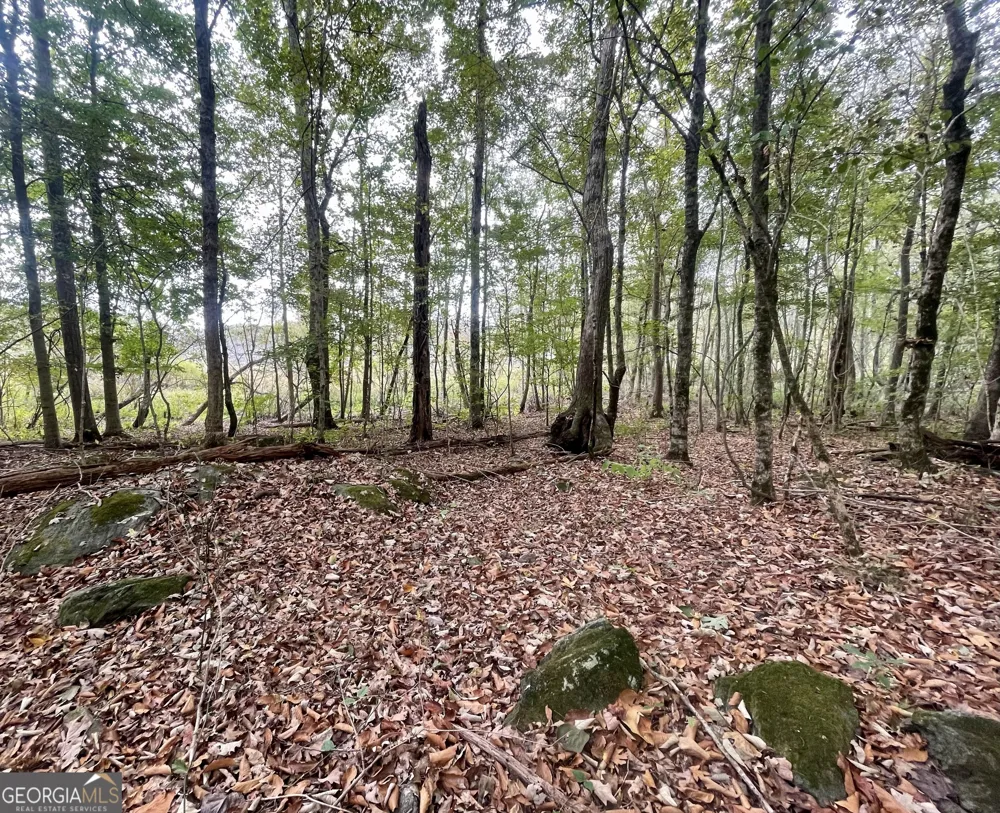 0 Buffalo Creek RD Carrollton, GA 30117