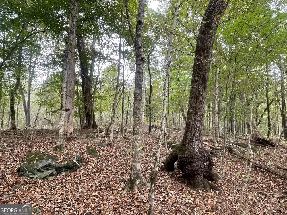 0 Buffalo Creek RD Carrollton, GA 30117