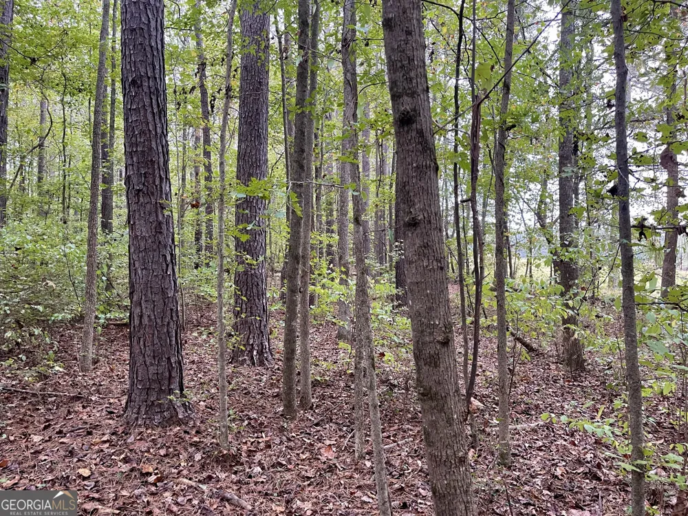 0 Buffalo Creek RD Carrollton, GA 30117