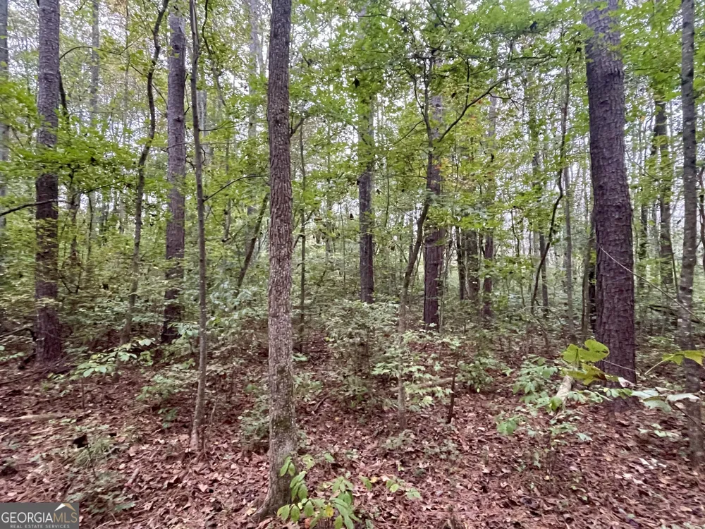 0 Buffalo Creek RD Carrollton, GA 30117