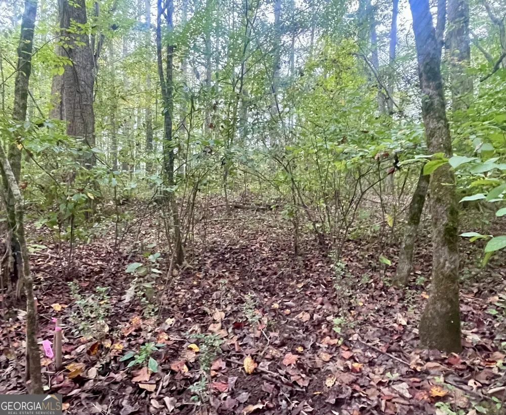 0 Buffalo Creek RD Carrollton, GA 30117