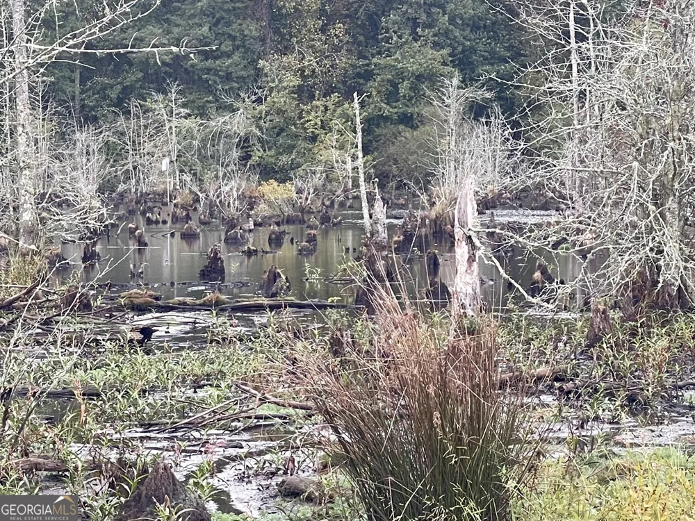 0 Buffalo Creek RD Carrollton, GA 30117
