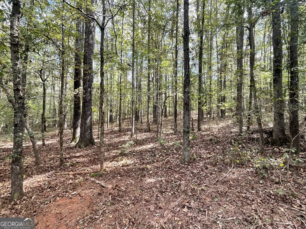 0 Buffalo Creek RD Carrollton, GA 30117