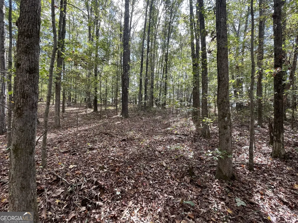 0 Buffalo Creek RD Carrollton, GA 30117