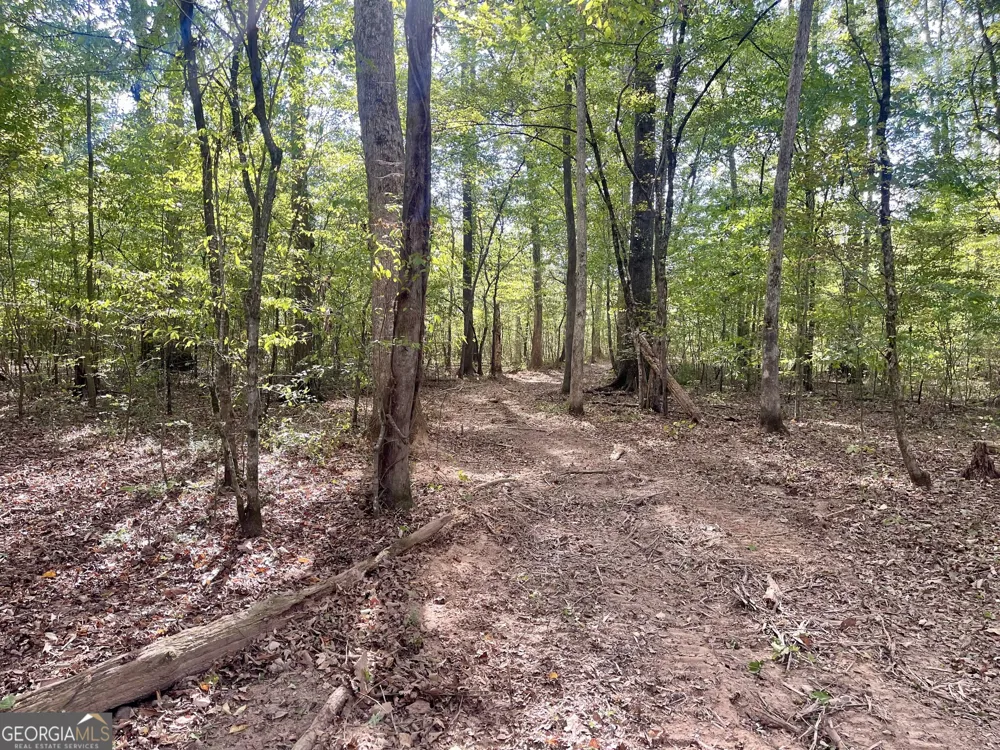 0 Buffalo Creek RD Carrollton, GA 30117