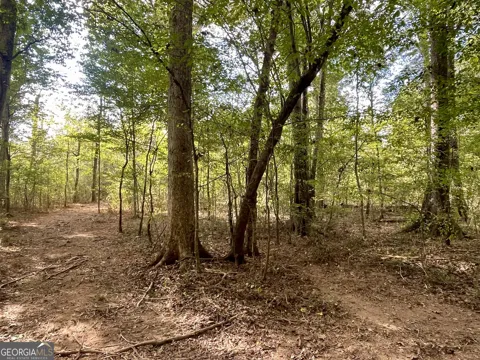 0 Buffalo Creek RD